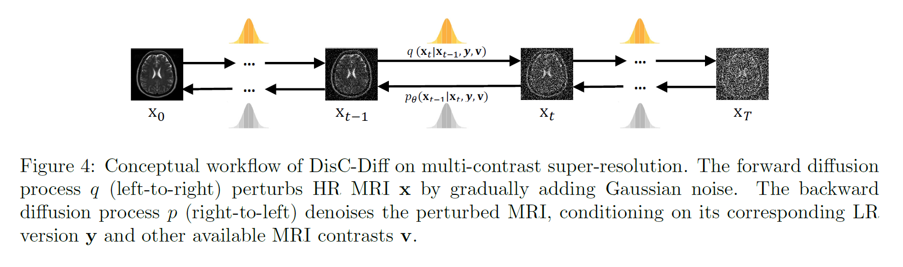 DisC-Diff_Workflow